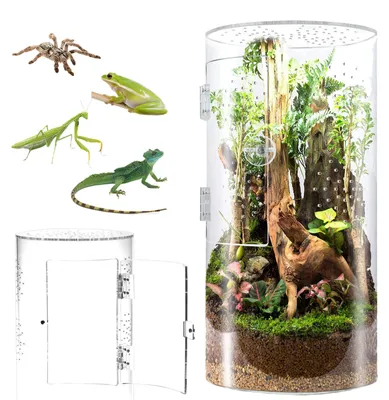 Productafbeelding van 360° Panorama Springspin Terrarium 29x19x19cm met Ventilatie