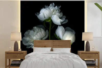 Produktbild von MuchoWow® Fototapete für Wohnzimmer oder Schlafzimmer Wandtapete Vinyl Motivtapete Weiße Pfingstrosen mit schwarzem Hintergrund - 240x240 cm - Schlafzimmer-Tapete
