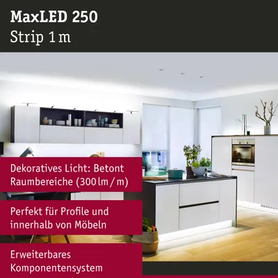 Immagine prodotto di MaxLED Strip 250 Bianco luce diurna 1m striscia singola
