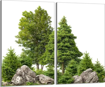 Produktbild von Herdabdeckplatten 2 teilig 30x52 Glaskeramikkochfeld Abdeckung Glas, Wald Grün