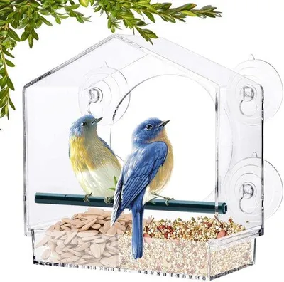 Immagine prodotto di Mangiatoia per uccelli trasparente 21x20x10 cm in acrilico con ventose