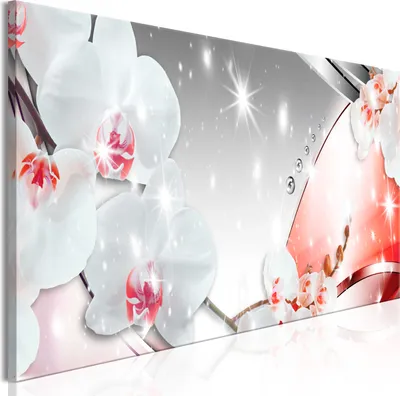 Produktbild von Modernes Wandbild b-C-0816-b-a (150x50 cm) - 1 Teilig Bilder Fotografie auf Leinwand Foto Bild Dekoration Wand Bilder Kunstdruck BLUMEN ORCHIDEE