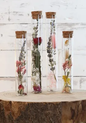 Produktbild von Trockenblumen im Glas mit Korken in vielen Größen zur Auswahl | Boho-Deko, Größe:h.20 Ø 3 cm
