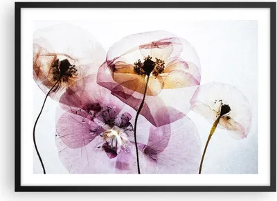 Produktbild von Gerahmtes Poster - Schwarzer Rahmen - blume sommer natur - 70x50 cm - Wand Bild - Wanddeko - Wandbilder - Kunstposter - Wandposter - Bilderrahmen - Bilder - Kunstdruck - Wandbild - P2BAA70x50-3821