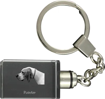 Immagine prodotto di Art-Dog Portachiavi – Pointer inglese I