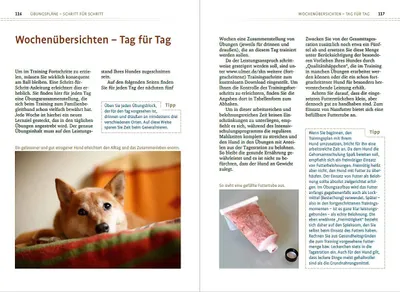 Zdjęcie produktu dla Sachkundenachweis für Hundehalter