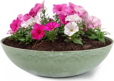 Image de Jardinière ronde ventrue de 30 cm pour l'extérieur, vert marbré