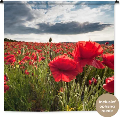 Produktbild von MuchoWow® Wandteppich Wandbehang Mohnblumen vor einem dramatischen, stürmischen Himmel 150x150 cm Tapisserie Dekoration Wandtuch - Wohnaccessoires - Modernes