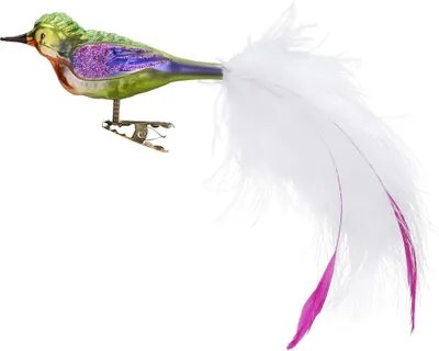 Produktbild von Christbaumschmuck Tropischer Vogel auf Clip Glas 9.5cm bunt, 1 Stück