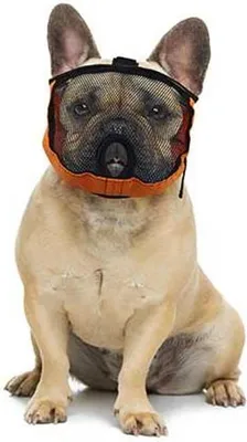 Produktbild von Oranje-Weißer Brachycephalier Maulkorb S