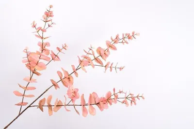 Productafbeelding van Kunstbloem, zijden bloem, eucalyptus tak, tak van zijde, roze, 105 cm
