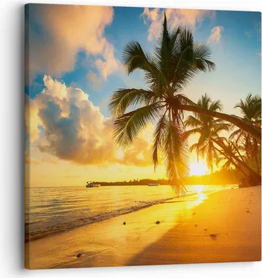 Produktbild von Bild auf Leinwand - Leinwandbild - Meer Strand Palme - 30x30cm - Wand Bild - Wanddeko - Wandbilder - Leinwanddruck - Bilder - Kunstdruck - Wanddekoration - Leinwand bilder - Wandkunst - AC30x30-3922