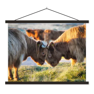 Produktbild von MuchoWow® Textilposter Schottische Highlander - Tiere - Sonne 60x45 cm mit schwarzem Rahmen - Poster Schlafzimmer