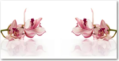 Produktbild von Tulup Glas-Bild -140x70- Wandkunst Dekorative Wand für Küche & Wohnzimmer - Blumen & Pflanzen - Orchidee - Rosa