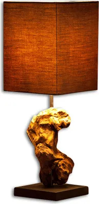 Produktbild von Lampe Tischlampe aus Holz Holzlampe Tischleuchte braun Treibholz 45cm