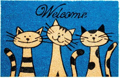 Imagen del producto de Alfombra de entrada EDM 74764, color azul, rectangular, 60 x 40 cm