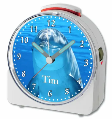 A close-up of a white alarm clock with a dolphin image on the face.