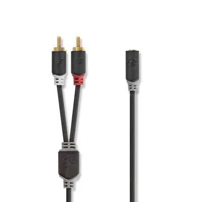 Productafbeelding van Nedis CABW22255AT10, 2 x RCA-connector, mannelijk, RCA-connector, vrouwelijk, 1 meter, antraciet