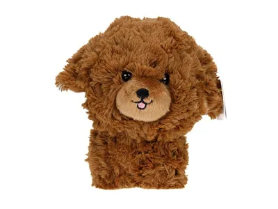 Produktbild von Masken-Teddytiere, Pudel, Braun