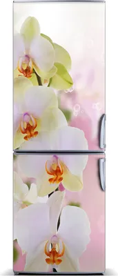 Produktbild von Tulup Kühlschrankdekoration - Magnetmatte - 70 cm x 190 cm - Magnet auf dem Kühlschrank - Weisse Orchidee
