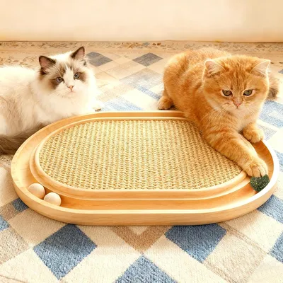 Produktbild von Kratzbrett für Katzen, 2-in-1, mit Sisal und Spielbällen, für Hauskatzen