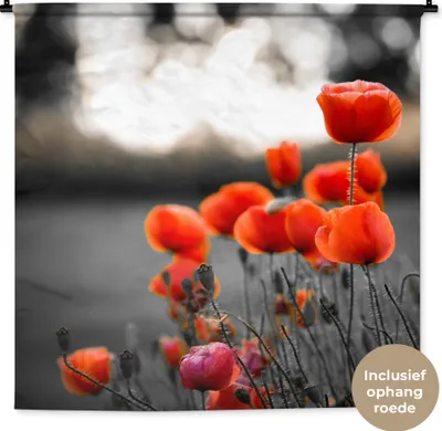 Produktbild von MuchoWow® Wandteppich Wandbehang Wilde rote Mohnblumen auf einem großen Feld mit schwarzem und weißem Hintergrund 150x150 cm Tapisserie Dekoration Wandtuch - Wohnaccessoires - Modernes