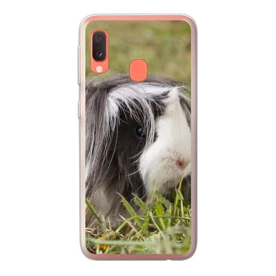 Produktbild von MuchoWow® Handyhülle Schutzhülle Hülle für Samsung Galaxy A20e Langhaar-Meerschweinchen Silikon Softcase Handy Hülle - Abdeckung