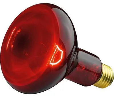 Produktbild von Beurer Ersatzstrahler 100 Watt von Philips für Infrarotlampe
