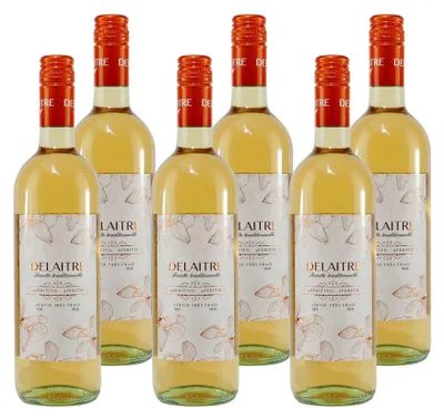 Produktbild von Delaitre Aperitivo (6 x 0,75L)