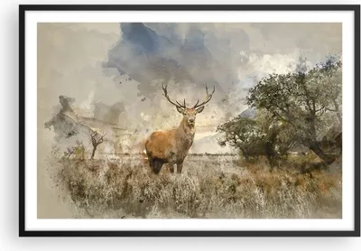 Produktbild von Gerahmtes Poster - Schwarzer Rahmen - rotwild natur - 91,5x61 cm - Wand Bild - Wanddeko - Wandbilder - Kunstposter - Wandposter - Bilderrahmen - Bilder - Kunstdruck - Wandbild - P2BAA91x61-3465