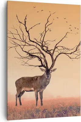 Produktbild von Bild auf Leinwand - Leinwandbild - Einteilig - Hirsch Baum Nebel Wald - 70x100cm - Wand Bild - Wanddeko - Wandbilder - Leinwanddruck - Wanddekoration - Leinwand bilder - Wandbild - PA70x100-3127