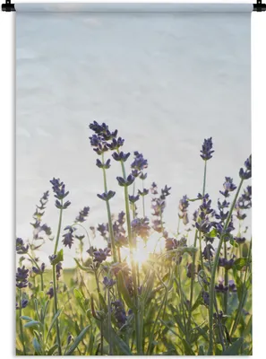 Produktbild von MuchoWow® Wandteppich Wandbehang Nahaufnahme von Lavendel bei Sonnenuntergang 120x180 cm Tapisserie Dekoration Wandtuch - Schlafzimmer - Dekorationen für das Haus