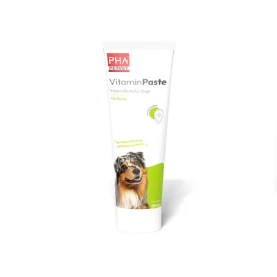 Image de PHA VitaminPaste pour chiens 100 ml