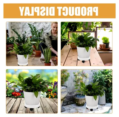 Produktbild von Runder Blumentopfständer mit Rollen, weißer Pflanztopfhalter für Innenräume, stabiler Pflanzenroller mit Ablage und hoher Tragkraft