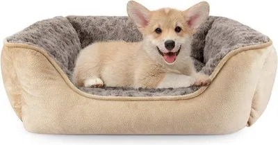 Immagine prodotto di Cuccia per piccoli animali, morbidissima, per cani di piccola taglia e gatti, taglia S, 51 x 48 x 18 cm, beige