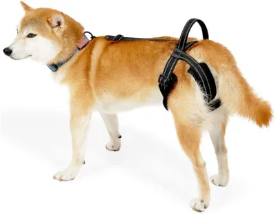 Imagen del producto de Soporte para transportar perros con correa reflectante, ajustable, con asa, ideal para perros mayores o con lesiones