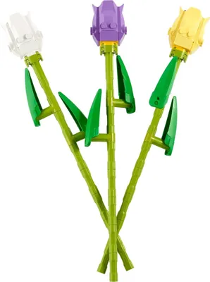 Zdjęcie produktu dla LEGO Botanicals Tulips, Zestaw do budowania, 8 lat(a), Plastik, 111 szt., 110 g