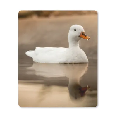 Produktbild von MuchoWow® Mauspad Mousepad Ente - Vogel - Wasser - Weiß 19x23 cm - Mousepads - Maus Mat - Pad - Mausunterlage - Mauspads - Spielen