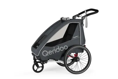 Immagine prodotto di Qeridoo QUPA 1 - Rimorchio per bambini, adatto a 1 bambino, colore: grigio