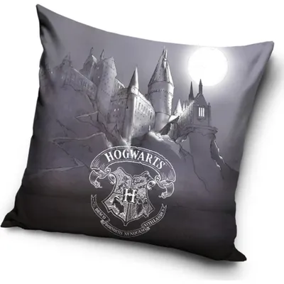 Zdjęcie produktu dla Poszewka na poduszkę Harry Potter Bradavické Tajemství
