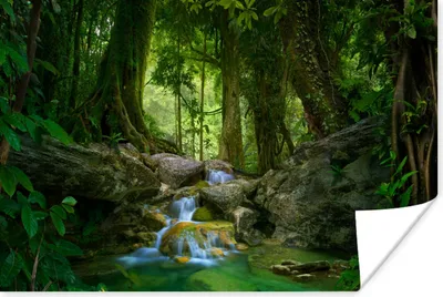 Produktbild von MuchoWow® Poster Dschungel - Steine - Wasser - Natur - Pflanzen 120x80 cm - Bilder
