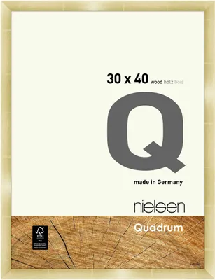 Obrázek produktu pro Nielsen dřevěný odnímatelný rám Quadrum 30x40 cm zlatý