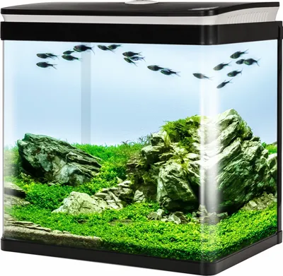 Produktbild von SunSun HGR-380 - Aquarium Bausatz schwarz 29l Aquarium Bausatz