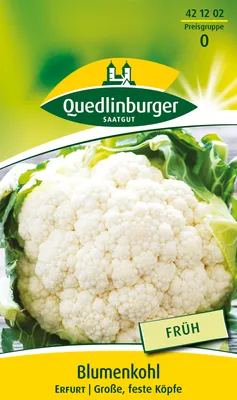 Produktbild von Quedlinburger Saatgut - Blumenkohl Erfurt - Samen - 421202