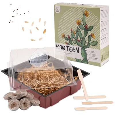 Immagine prodotto di Kit di avviamento per la coltivazione dei cactus - Mini serra, semi e set di piante
