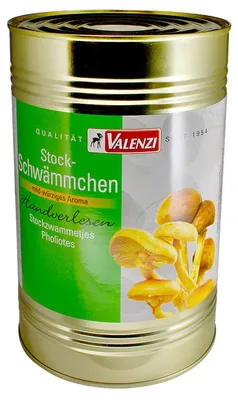 Immagine prodotto di Spugne a bastoncino Valenzi 2295g