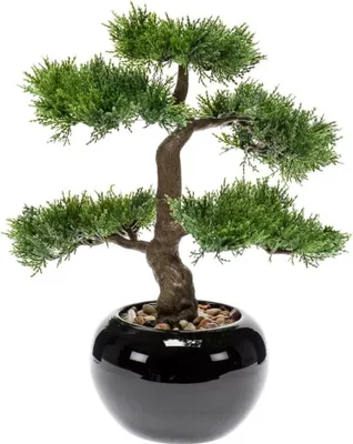Zdjęcie produktu dla Szmaragdowa sztuczna roślina bonsai cedr zielony 34 cm 420003
