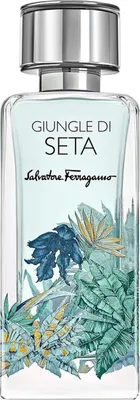 A clear, front-facing studio shot of a perfume bottle.