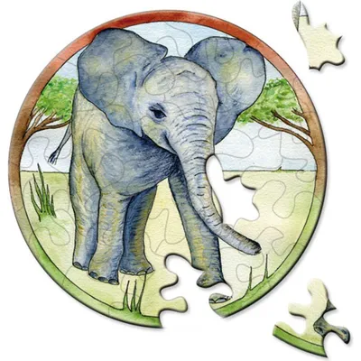 Productafbeelding van CURIOSI Houten puzzel Picoli: Olifant, 33 stukjes