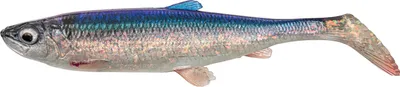 Obrázek produktu pro Savage Gear 3D Herring Shad V2 (sleď)